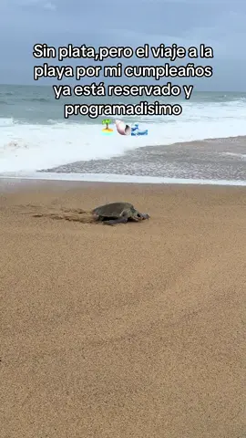 #mazatlan🌊🏝️🐚