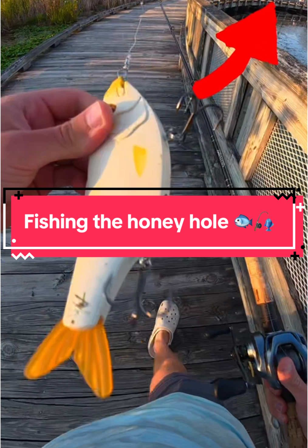 I Fished a Honey Hole 🐟🎣 #fishing #fishingvideos 