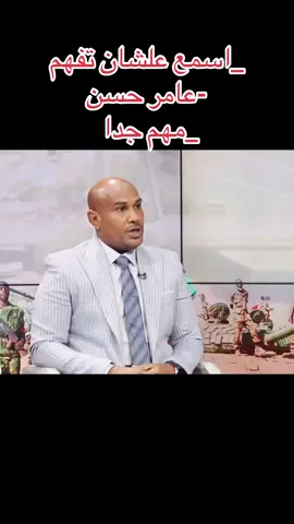 عامر حسن 