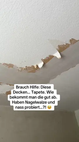 Die hat sich mit dem Rigips verbunden…