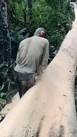Stubborn wood #woodwork #treecut 