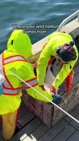 Harvested from pristine Alaskan waters by good people 🩵🐟 #alaska #seafood #sustainableseafood #commercialfishing #august 