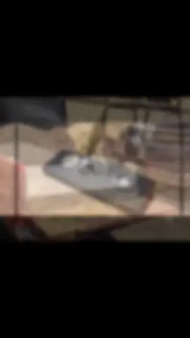 🚨 GOLPE AL N*RCOTR4FIC* EN SONORA 🚨 En Vícam, Guaymas, personal de la Guardia Nacional y el Ejército Mexicano aseguró casi 584 kg de m*tanf*tamin4 💥 tras detener un vehículo sospechoso durante operativos en la zona. Un duro golpe contra la d3lincu3nci* y a favor de la seguridad de México. 🇲🇽💪 #MéxicoEnPaz #Seguridad #EjércitoMexicano #GuardiaNacional