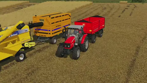 MF 5455 🔥 #tc56 #tc5070 #tc56tork #livehighlights #tiktoklive #civantarım #farmingsimulator25 #farmingsimulator22 #fs25 #fs22 #newholland 