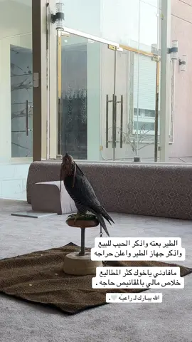 الله يـبارك  #fypシ  #4u  #explore  #like