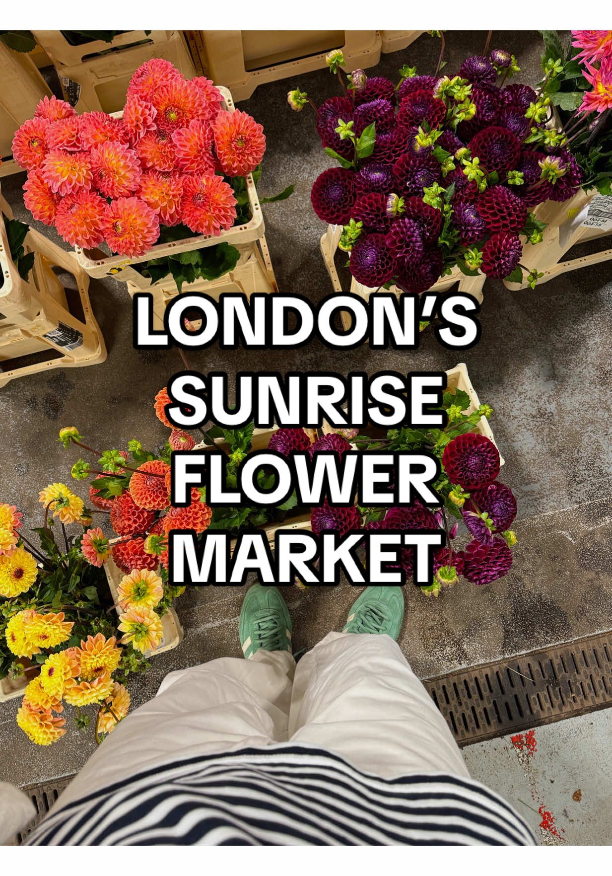 Let’s go to London’s 4am flower market 🌸✨🌻  #newcoventgardenflowermarket #londonflowermarket #londonmarket #londonguide #whattodoinlondon #thingstodoinlondon 