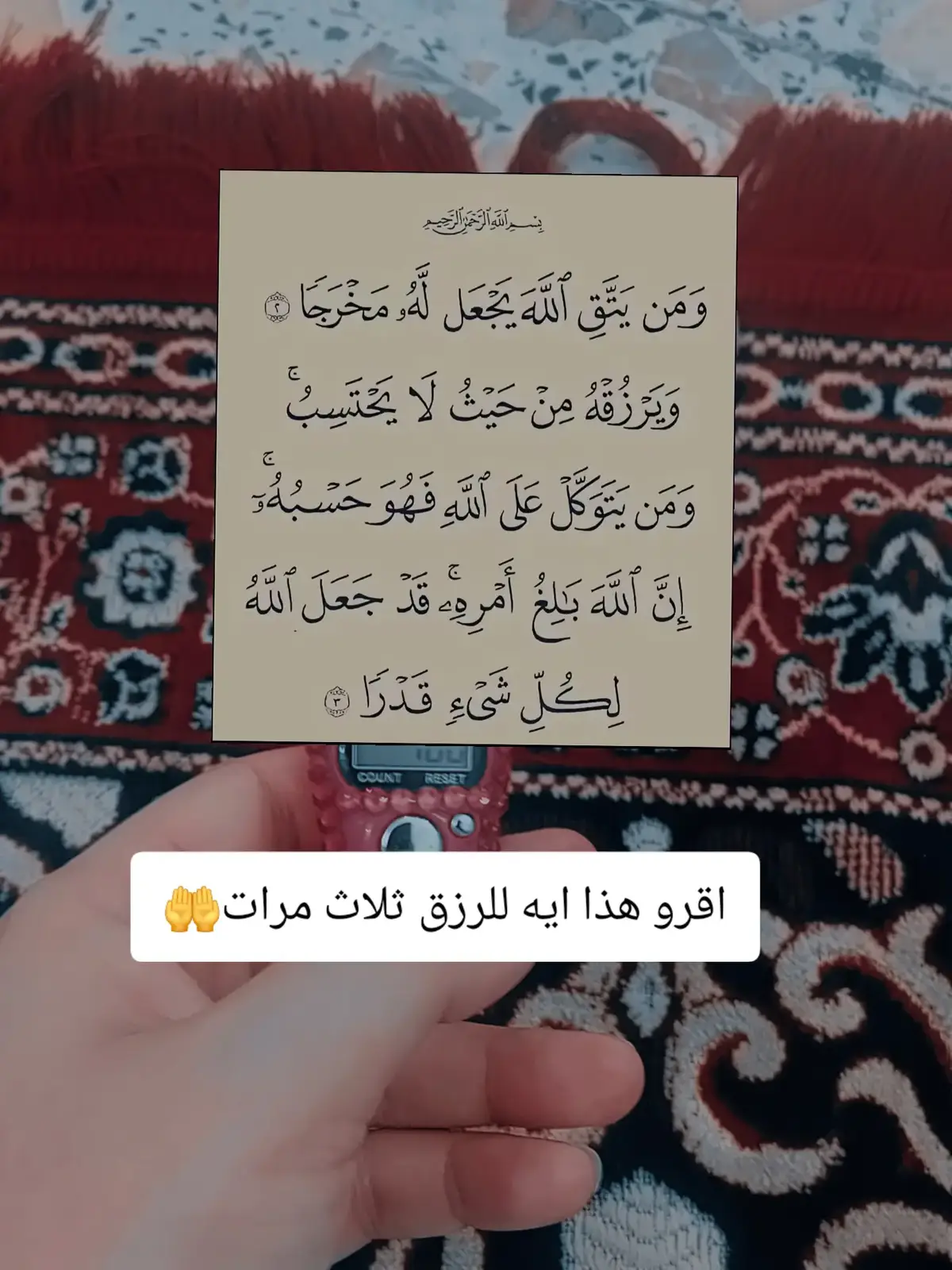 #اللهم_صلي_على_نبينا_محمد #اللهم_عجل_لوليك_الفرج #شۣۗـۙهۣۗہد🌿 