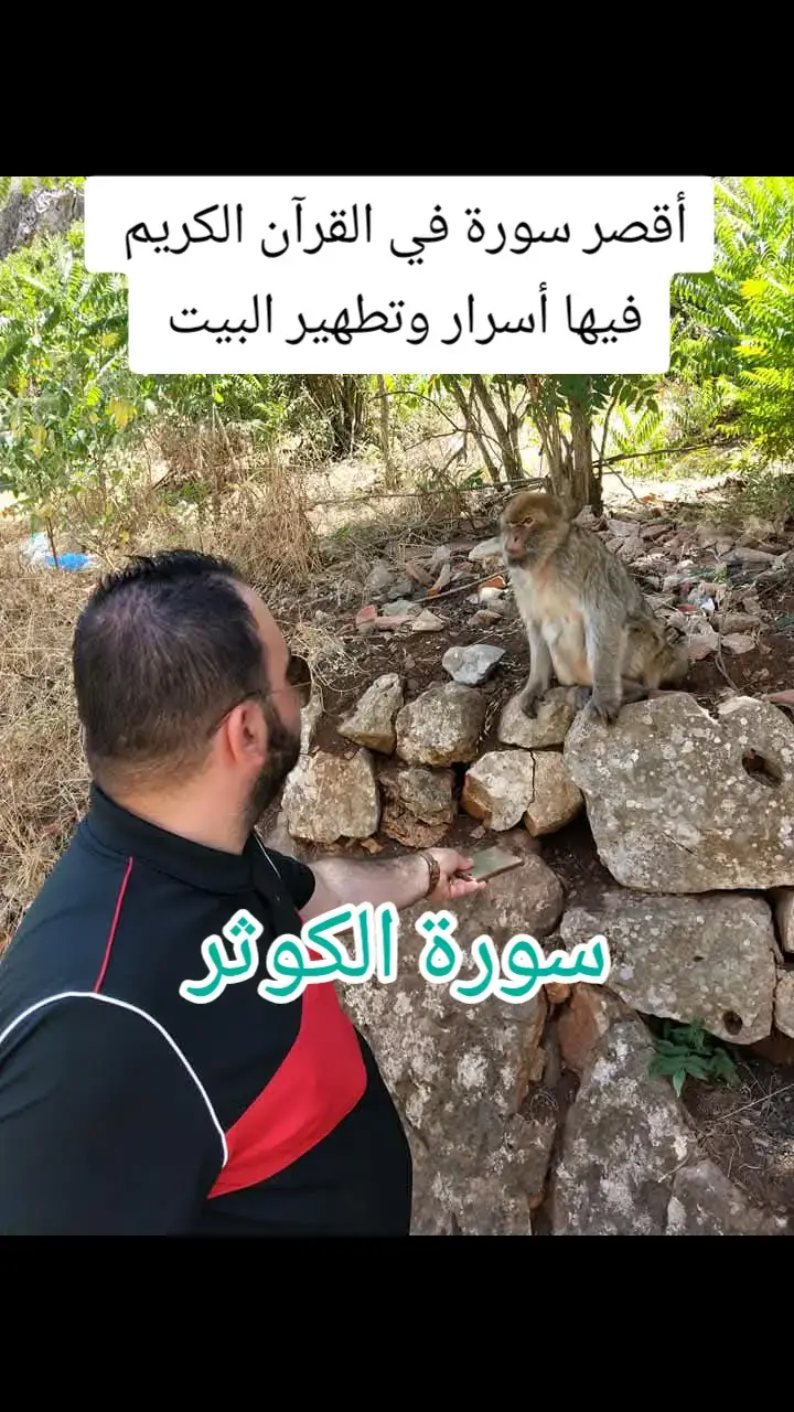#القران_الكريم #القران_الكريم_راحه_نفسية😍🕋 #صدقة_جارية #اكسبلور #viral #vyp #viral?tiktok🥰 
