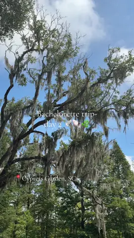 DAY 2  - living out my Notebooks dreams ☁️ #fyp #charleston #bachelorette #cypressgardens #thenotebook #southcarolina #sc 