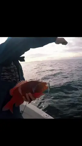 #olebrandselect #fishing #usa #adventure 