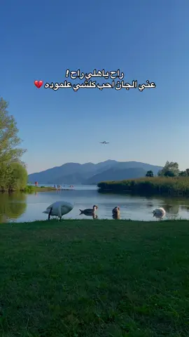 كلشي راح ياهلي 😔#مشاهير_العراق #fyp #مشاهير_تيك_توك_مشاهير_العرب #سويسرا🇨🇭 #اكسبلورexplore #اكسبلور #viral 
