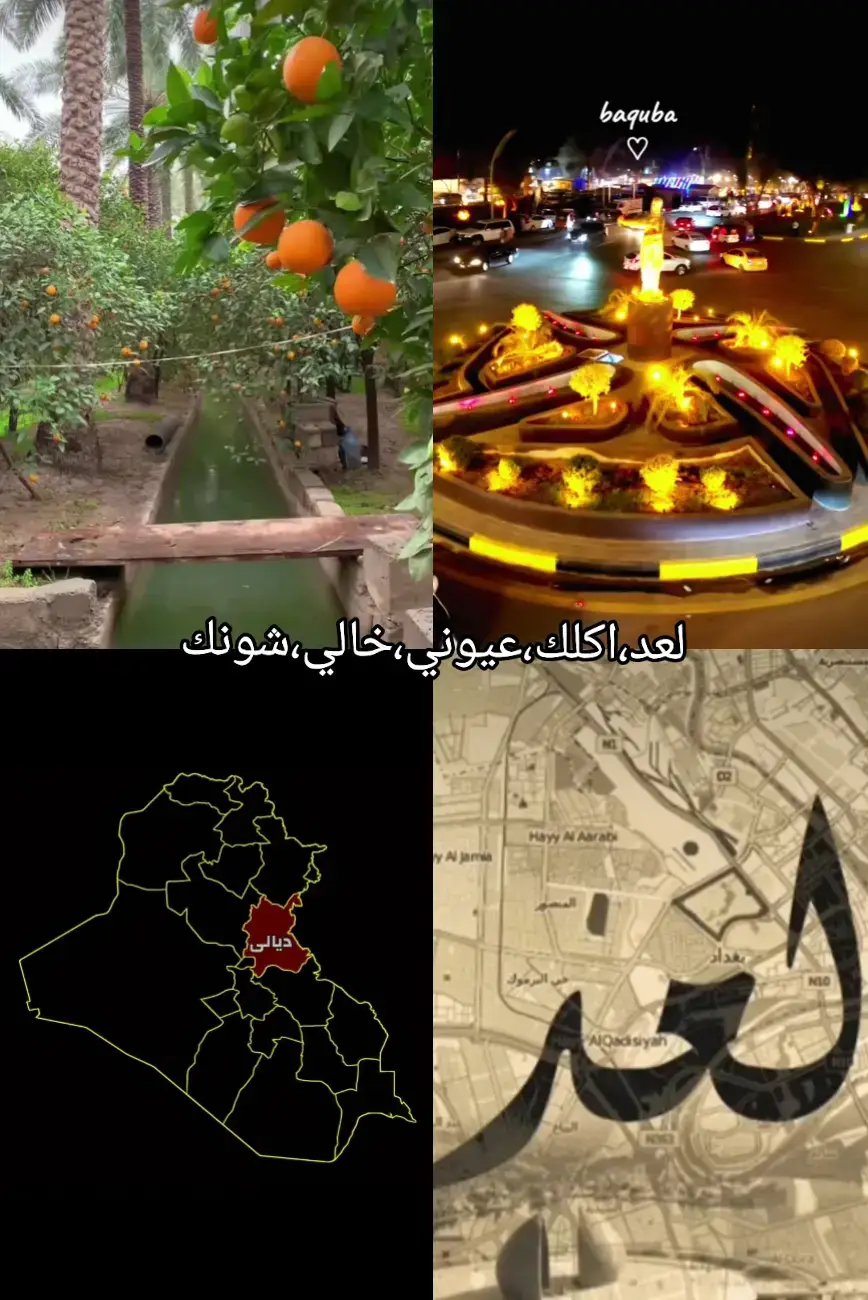 بعقوبة🤍#ديالى #ديالى_بعقوبة #ديالى_بعقوبه_مجسر_حي_المعلمين  #ديالى_بعقوبة_الجديدة  #ديالى_بعقوبه  #ديالى_قضاء_المقداديه  #ديالى_بلدروز  #ديالى1  #ديالى_قضاء_المقداديه_حي_المعلمين  #ديالى_بعقوبة_مجسر_الحي  #بعقوبة_مدينتي  #بعقوبة_الجديدة_على_نهر_ديالى  #بعقوبة_مدينتي🍊  #بعقوبة_الجديدة_شارع_الطابو  #بعقوبة_الجديدة  #بعقوبة_ديالى  #بعقوبة_التحرير  #مندلي #كنعان #خانقين #بلدروز #خالص #القادسية  #بغداد #المنصور #شارع_فلسطين #كرخ #رصافة  #العراق_السعوديه_الاردن_الخليج  #العراق #العراق_بغداد #العراق🇮🇶❤️ #العراق_السعوديه_الاردن_الخليج_فلسطين  #كورنيش_ديالى #كورنيش_ديالى🍊  #احبكم❤️❤️ 
