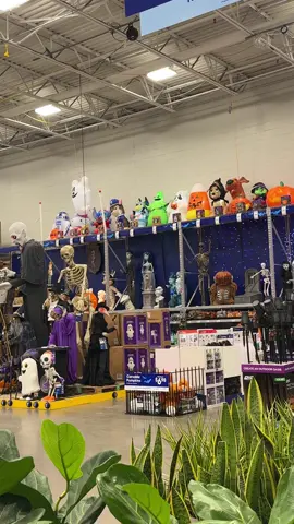 It’s officially here ! Halloween arrived at @Lowe’s 🎃 🕷️ 🕸️  #halloween2025 #halloween #loweshomeimprovement 