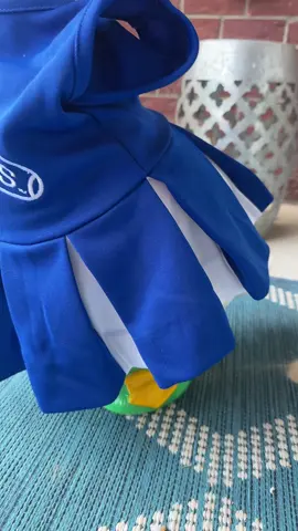 Cardi Beak is ready for football! #BBN #Cats #kentuckygirl #porchgoose 