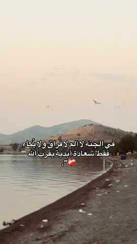 فقط سعادة أبدية بقرُب الله #فـُرآت #islam #دير_الزور #alhamdulillah #أبـو_شـامَ #طوبى_للغُرباء #آلـفراتـي🦅🥷 