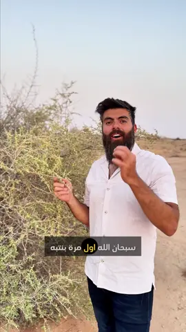 ريحة زهرة سدر الفياض في نجد - السعودية 🔥 - #jarhoney #nature #bees #beekeeping #beekeeper #honey #viral #honeylovers #lebanesehoney #johnyabourjeily #beebeard #kingofqueens #kingofhoney #kingofbees #savethebees #bestbeekeeper #bestbeekeeperintheworld