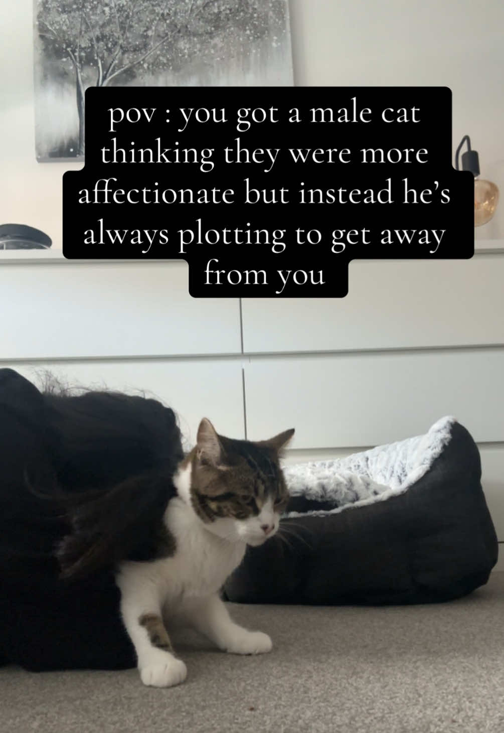 he loves me really… obviously 