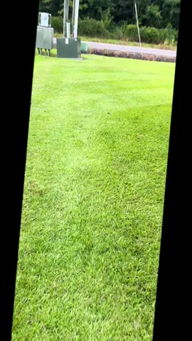 I am my biggest competitor #louisiana #lawncare #lawnstripes #lawntiktok #lawn #lawntok #fyppppppppppppppppppppppp #fypシ #fypシ゚viral 
