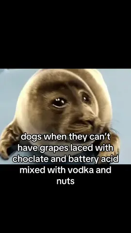 #relatable #fyp #viral #funny #meme 