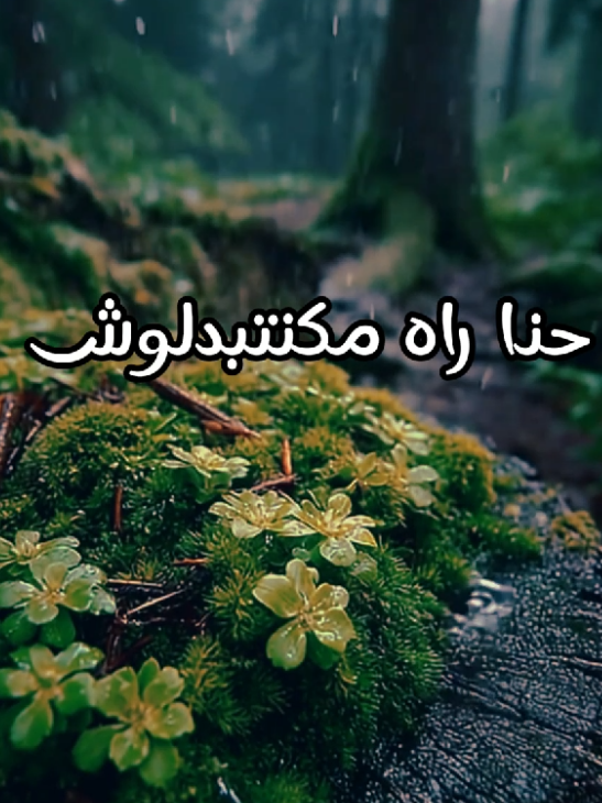 #حالات #حالات_واتس_حزينه💔 #كلمات_من_القلب #InspirationByWords #statuswhatsapp 
