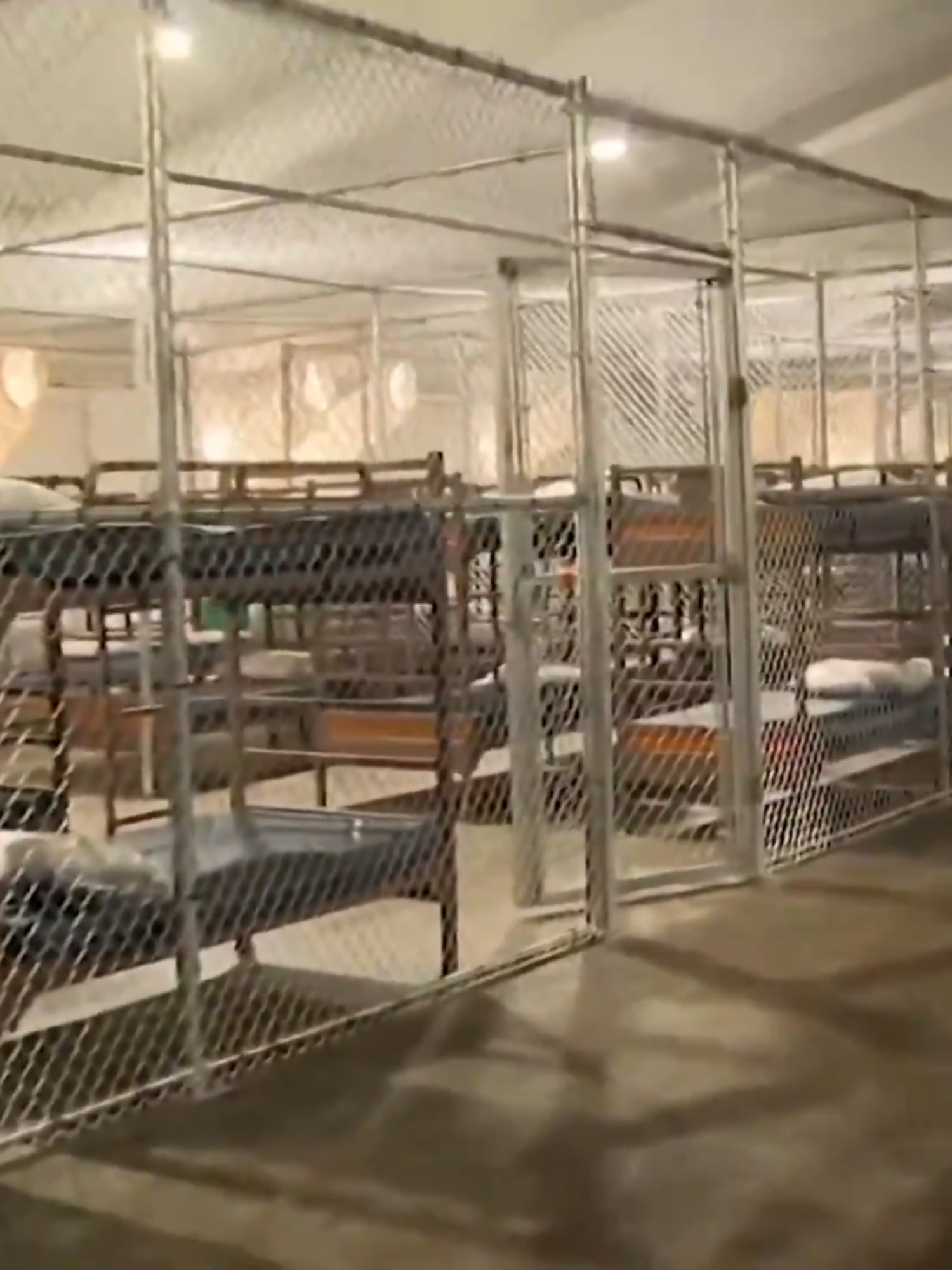Attorneys for a Venezuelan man who collapsed inside “Alligator Alcatraz” are accusing the facility of failing to provide adequate care for sick detainees. NBC6’s Amy Viteri reports.
