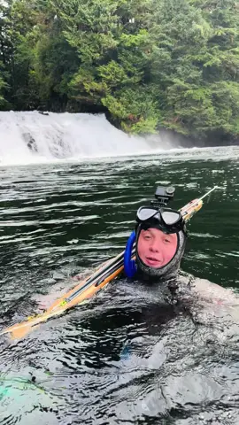 Can you see the bear walking behind me at the beginning of the video?