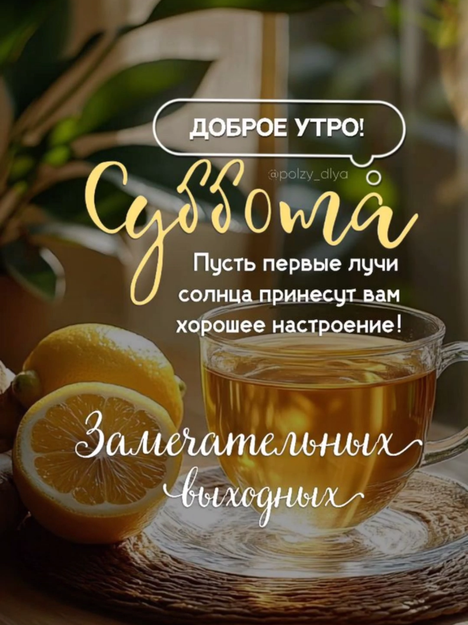 #доброеутро #утро #сдобрымутром #хорошегодня  #открыткасестре #открыткамаме #деньрождения #открытка  #доброевесеннееутро #утро #открыткасдобрымутром #доброеутро2025  #отличныйдень #открыткасдобрымутром #поздравлениесднёмрождения #пожелания #пожелание осеннееутро #лето2025 #9августа  #август2025 #доброеутроеовинки #август   #поздравление #эстетика #рекомендации #рек #tik #tiktok #красиваяоткрытка #нежность 