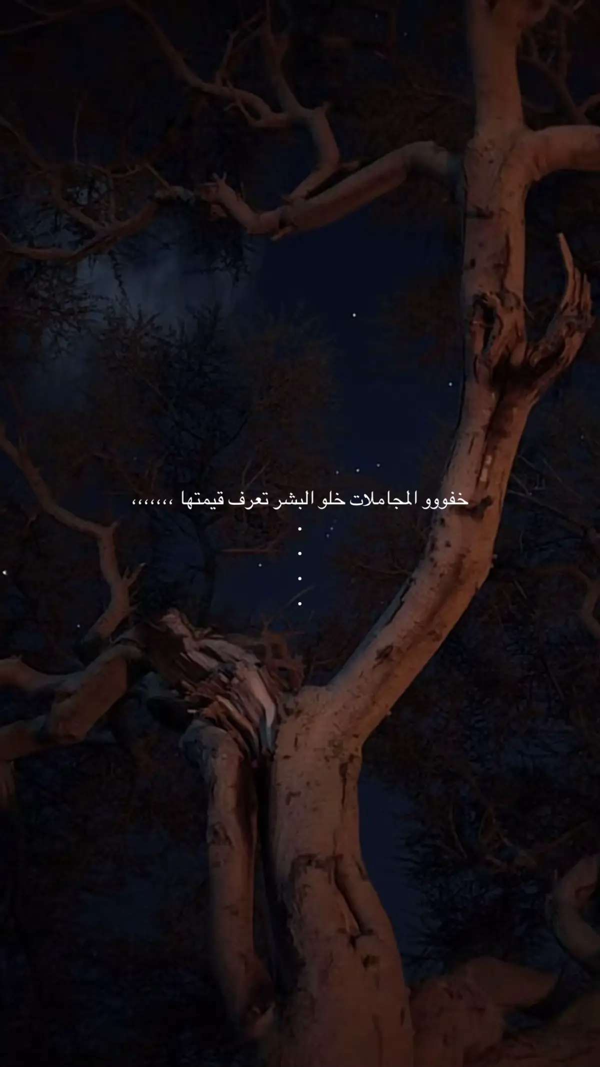 #fypシ゚ #اكسبلور_explore 