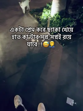 Single দের দুঃখ বুঝার কেউ নাই.. 🥹🙄 #foryou #foryoupage #fypシ #bdtiktokofficial #faru_que #tiktok #viralvideo #fpy @TikTok Bangladesh 