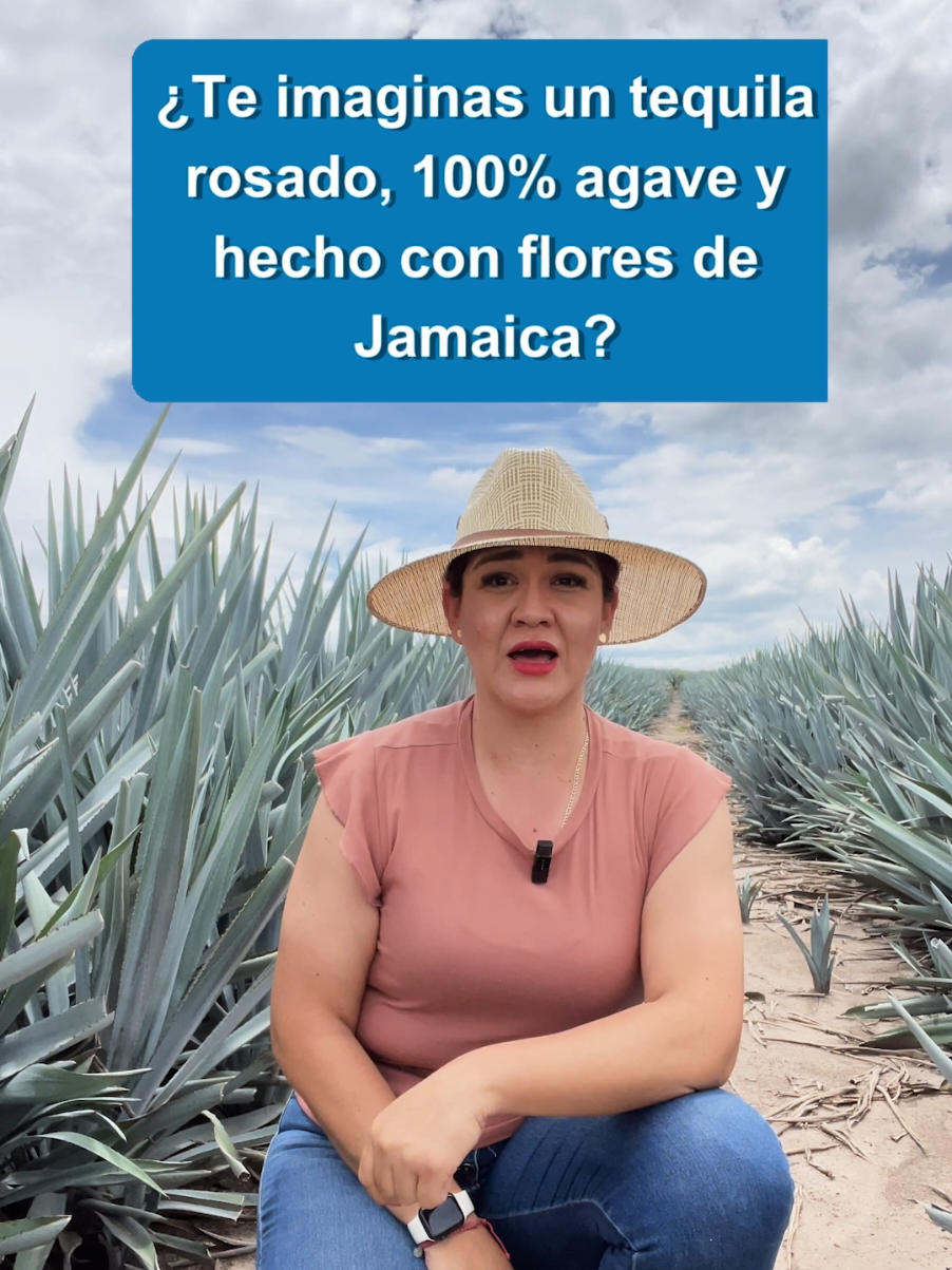 ¿Te imaginas un tequila rosado, 100% agave y con flores de Jamaica? Gracias al talento mexicano y a la ciencia, ya es una realidad. NOTICIA:  ¿Te imaginas un tequila rosado, 100% agave y hecho con flores de Jamaica? Pues ya es una realidad, gracias al talento mexicano y a la ciencia. Camila S. Gómez Navarro, estudiante de biotecnología en la Universidad Autónoma de Guadalajara, logró crear una fórmula de tequila rosado con el apoyo del Consejo Regulador del Tequila. Este no es un nuevo tipo de tequila, sino un tequila blanco que ha sido infusionado con elementos naturales, como flores de Jamaica y reposado en barricas de vino, para resaltar su color, aroma y cuerpo… sin perder su esencia 100% agave. ¿Orgulloso del talento mexicano? Apóyanos con tu like, comenta y síguenos para más noticias. Camila aplicó técnicas de electroquímica avanzada, como la voltamperometría de pulso diferencial, para analizar los compuestos naturales del tequila, creando así una 