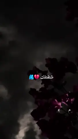 شتقتلك 💔🫂مصمم_فيديوهات🎬🎵 #استوريات #story #fypシ #ليل #ربداوي #اربد_عروس_الشمال #المعتزل👑 