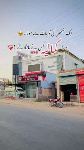 Kesi ha voice 🙂🤭#کمالیہ #kamalia #foryou #foryoupage #standwithkashmir 