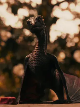 Kinda late to this trend #gameofthrones #daenerystargaryenedit #jonsnow #viral #edit #fyp #daenerystargaryen @𝓐𝓵𝓲𝓿𝓮𝓼𝔁𝓼𝔁 @Proxima… @❥𝕂𝕚𝕣𝕒🏹 @✧ @✩∫𝐃𝐀𝐘𝐋𝐀»™༻ @ra𝓎 @𝘷𝘢𝘭𝘺𝘳𝘪𝘢𝘴𝘧𝘹 ⊹ ࣪ ˖ @angie @︎ ︎ @adam @ᴀꜱᴏɪᴀꜰ ᴇᴅɪᴛᴏʀ @ashley 