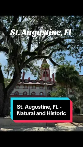 #1 The first wooden school house in the US and the first public street in the US. Untouched beach dunes 🙌 Florida has so much to see and explore. #anastasiastatepark #staugustine #avilesstreet #flaglercollege @Flagler College 