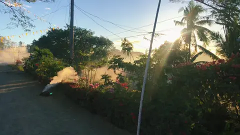 Nakakamiss umuwi sa probinsya lalo na pag naamoy mo ung usok ng damo na sinisigaan ☺️☺️ #buhayprobinsya #nature #gardening #travel #probinsya #bukidlife 