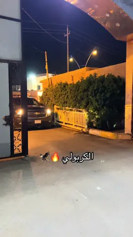 #الدكتور_جمال_الكربولي #الكرابله_وزلم_الكرابله_جمهورية_الدليم #القائم_حصيبه_غربيه🇮🇶 #تسجيل_دخول_فخم🔥 #موكب 
