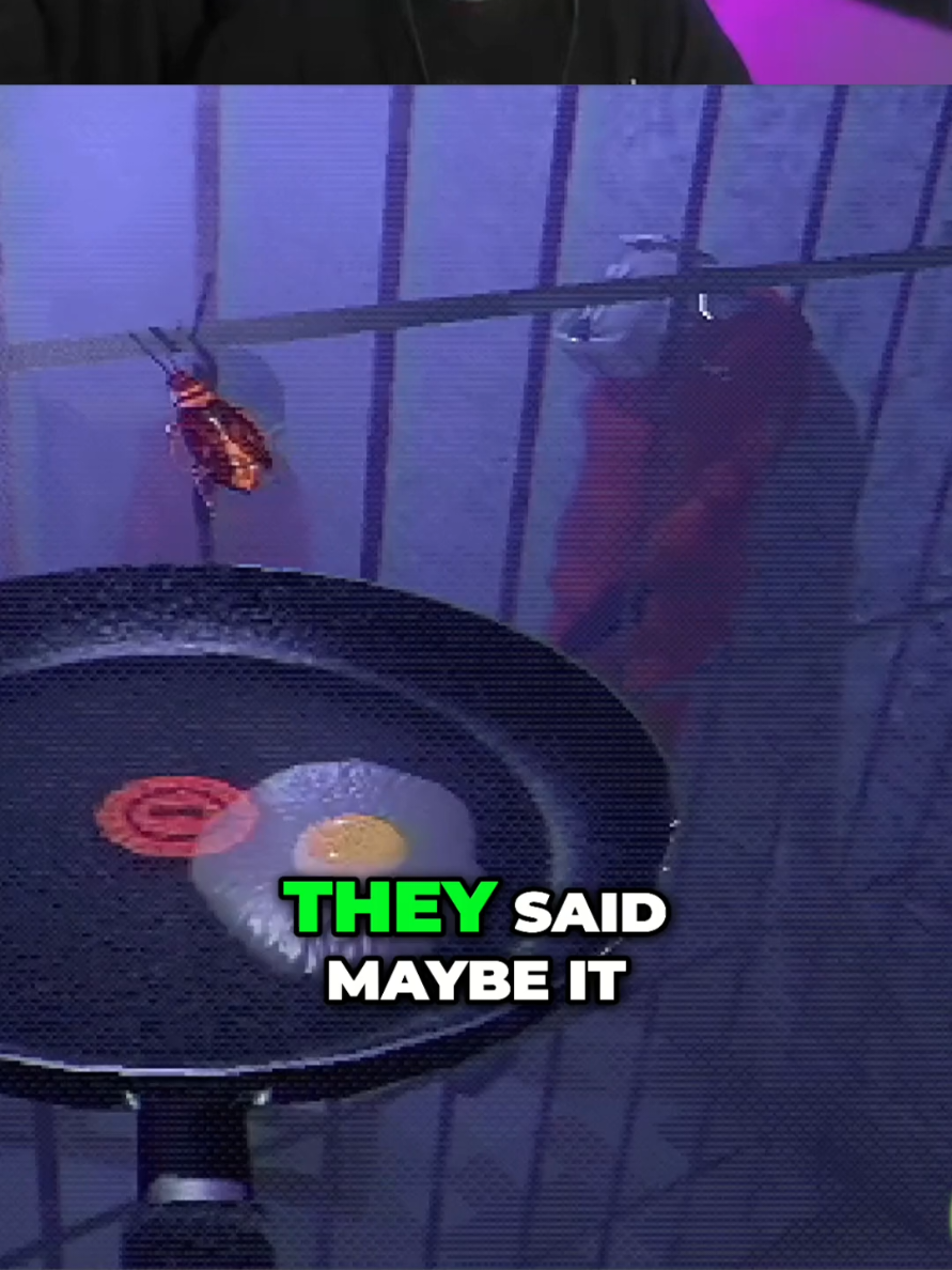 yall ever cook cockroaches with your eggs? #gaming #rumble #streamer #fyp #trending 