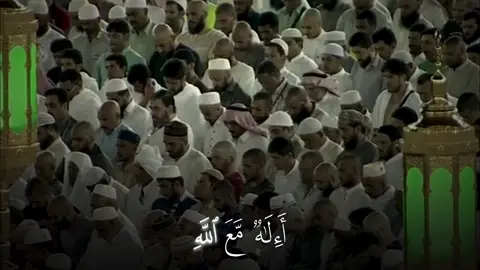 أَءِلَـٰهࣱ مَّعَ ٱللَّهِۚ 🤍 #ياسر_الدوسري #سورة_النمل #قران #اكتب_شي_توجر_عليه #صلوا_على_رسول_الله #quran #islamic_video 
