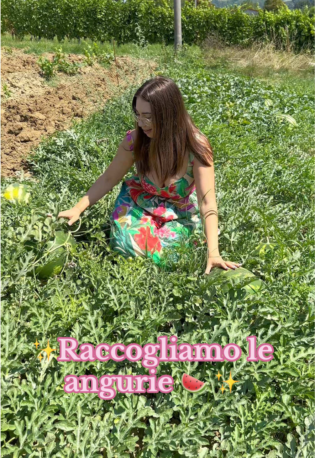 ✨Raccogliamo le angurie🍉✨ #country #countrylife #countryside #watermelon #routine 