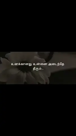 #creatorsearchinsights  #tamilqoutes #islamicvideo #foryou #truelines #wiralvideo #fypシ #onemillionaudition 