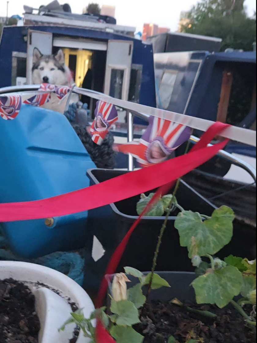 #boatlife #london 