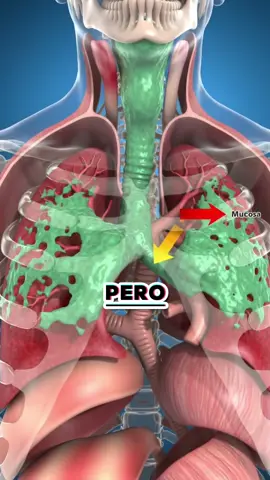 La planta que limpia tu garganta y pulmones de forma natural #plantamedicinal #jarabe #pulmones #remedionatural #respirar