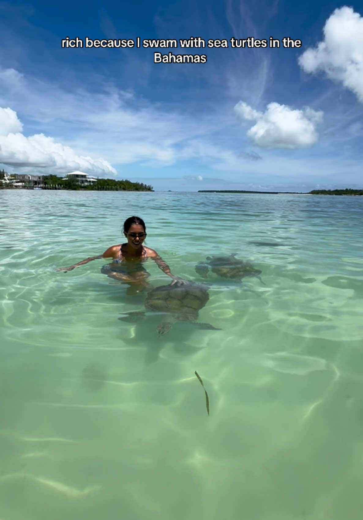 The most magical and memorable part of the Bahamas 🐢💚 #seaturtle #bahamas #bucketlist 