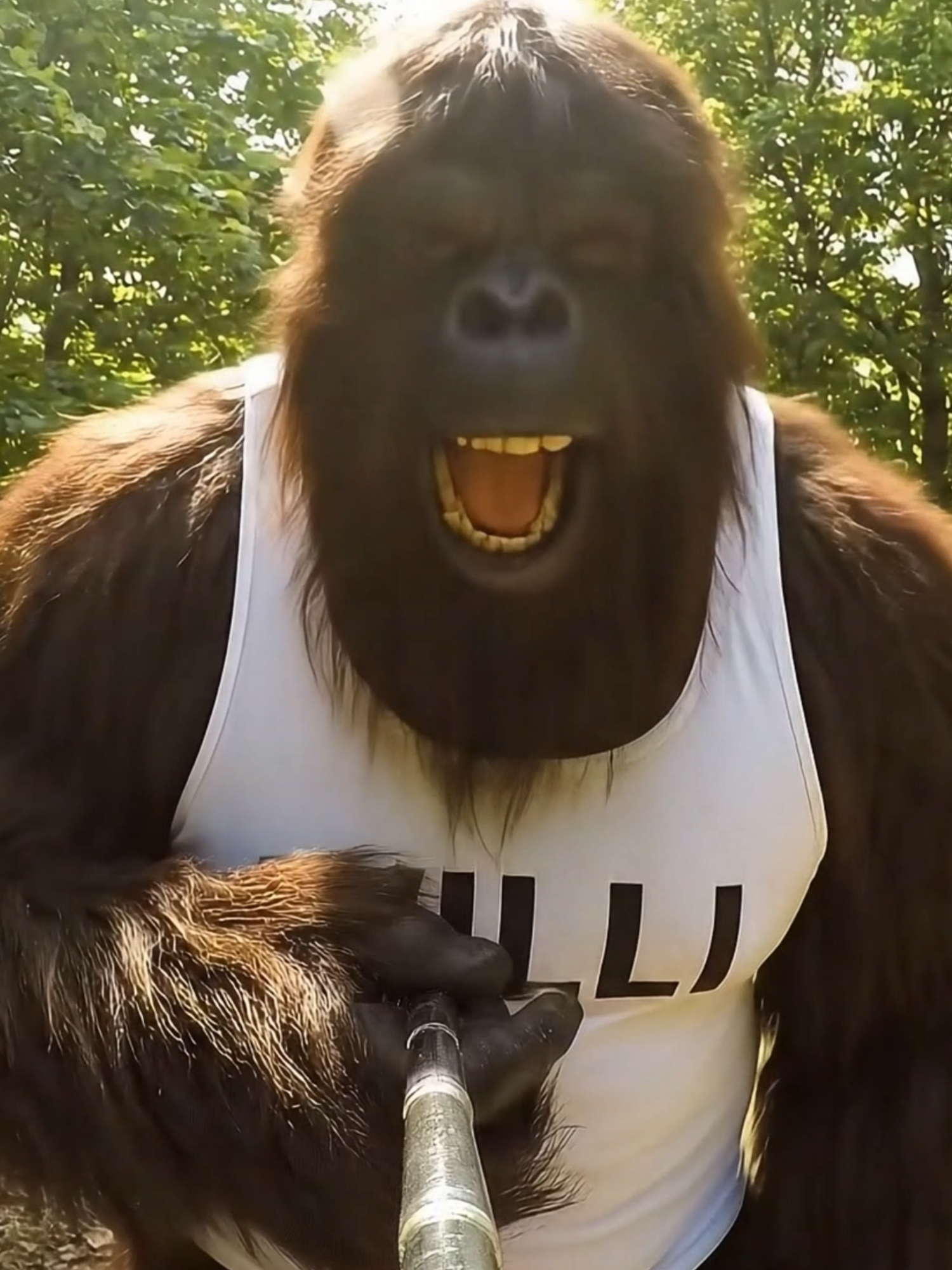Wenn Bigfoot im weißen Muskelshirt mit ‘WILLI’ auftaucht, weißt du, Tobias bekommt heute Premium-Grüße 💪🌲😂 #Tobias #bigfoot #namen #markieren #freund