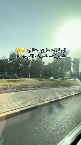 رطوبه الكويت هتجيب اجلنا الحقونااا😂😂😂#creatorsearchinsights #يوميات_جيجي #fy #الشعب_الصيني_ماله_حل😂😂 #tiktokviral #الكويت_مصر_السعودية_سوريا_الامارت #trinding #explore #رطوبه#بنات #girls #عروض 