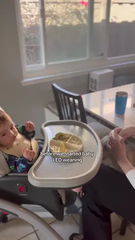 101 Before One is one of the best investments we've made for our baby. As a first time mom, I wanted to make sure that I had access to comprehensive, up-to-date and factual information on how to feed my baby. The 101 Before One resources have been key in helping me feel confident and excited about baby led feeding. We use the cookbook every day, and not only does my baby love the meals, but my husband and I do too. Thank you 101 Before One for creating such a valuable resource!!  #babyledweaning #blw #babyledfeeding #blwrecipes #babyledweaningrecipes #babyledweaningideas #blwideas #startingsolids #introducingsolids #introducingsolidstobaby #babies #toddlers #feedingbabies #mealplanforbabies #familymeals #mealplan #familyrecipes #6monthsold #4monthsold #6months #4months #firstweekofsolids #introducingfood #babynutrition 