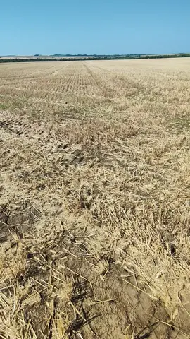 gunoaie de oameni 😑#agri #agriculture #agro #farming 