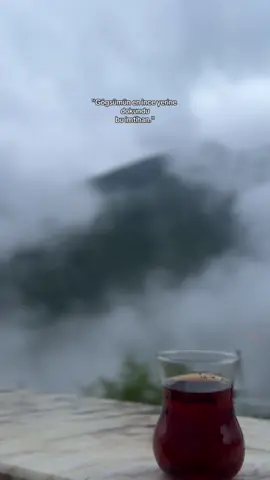 Huzurum @Murat kalay ♥️#artvin #rize #flypシ #karadeniz #flypシ #yaz #arhavi #nature 