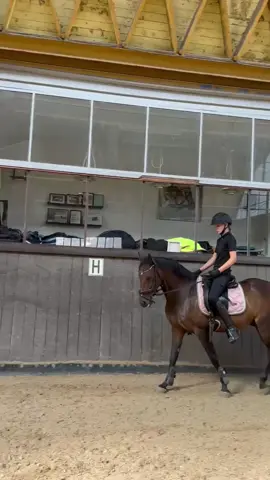 Bedste pony jeg havde mig i dag til en masse bøjning både ind af og ud af. Der var virkelig mange gode momenter og syntes virkelig at vi er kommet lang i forhold til der hvor vi startede❤️❤️❤️ #firenzo #dsp #equeatrian 