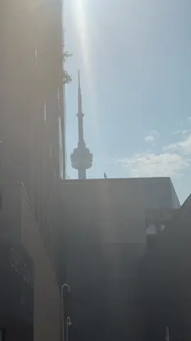 got me there #toronto #fool 